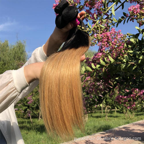High Quality Double Drawn Brazilian Human Hair Bundles 1B 27 ombre colored Hair Extensions straight Bundles